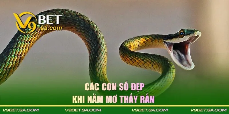 Các con số may mắn khi chơi lô đề