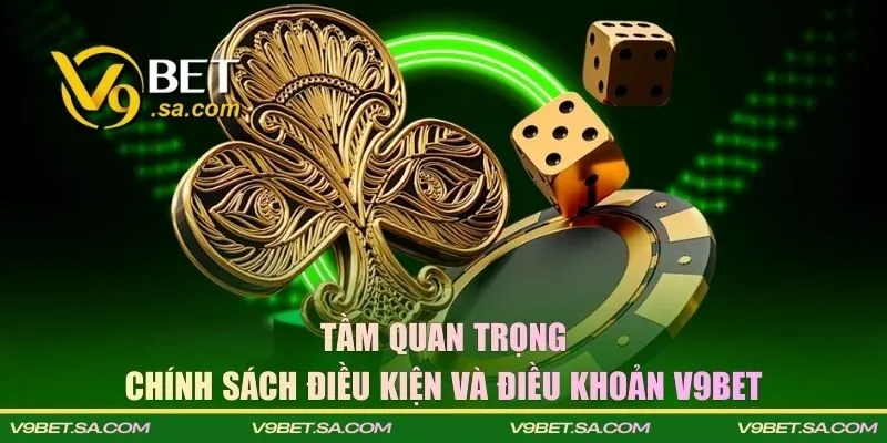 Điều kiện và điều khoản giúp xây dựng sân chơi hoàn hảo 