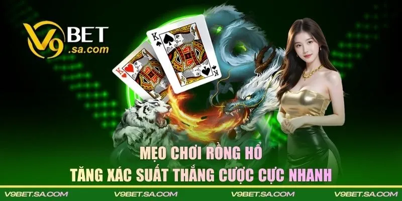 Mẹo chơi rồng hổ