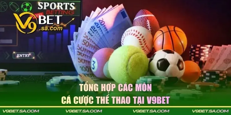 Tổng hợp các môn cá cược sport tại V9BET